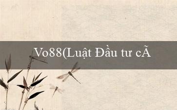 Vo88(Luật Đầu tư công của Việt Nam – GO79)